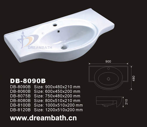 Vanity Top Sink